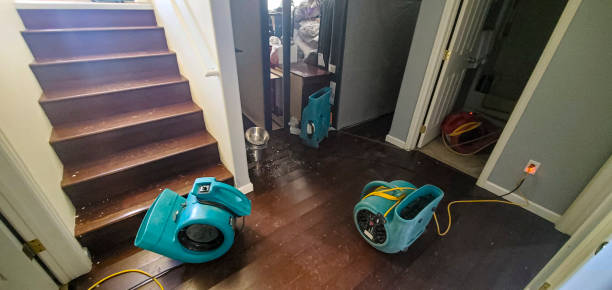 Best Mold removal after water damage  in Pecan Acres, TX