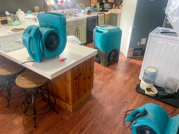 Best Flood damage cleanup  in Pecan Acres, TX