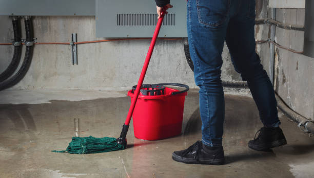  Pecan Acres, TX Water damage restoration Pros