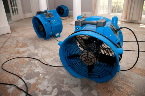 Best Water damage cleanup near me  in Pecan Acres, TX