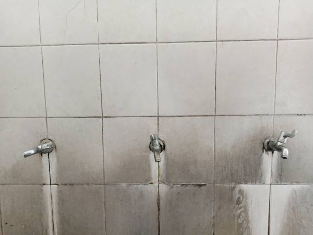 Best Sewage cleanup and water damage restoration  in Pecan Acres, TX
