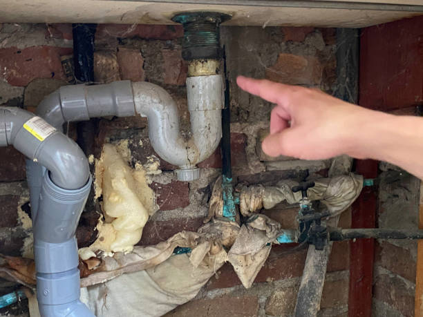 Best Water damage restoration near me  in Pecan Acres, TX